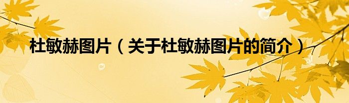 杜敏赫?qǐng)D片（關(guān)于杜敏赫?qǐng)D片的簡(jiǎn)介）