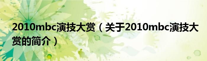 2010mbc演技大賞（關(guān)于2010mbc演技大賞的簡介）