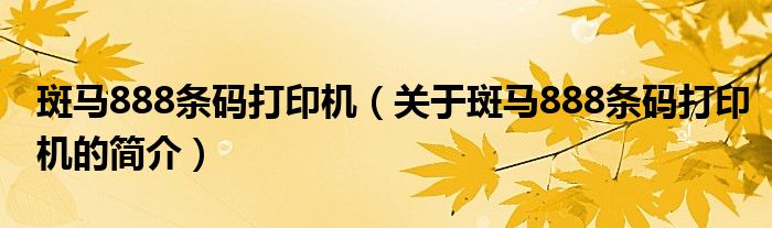 斑馬888條碼打印機(jī)（關(guān)于斑馬888條碼打印機(jī)的簡(jiǎn)介）