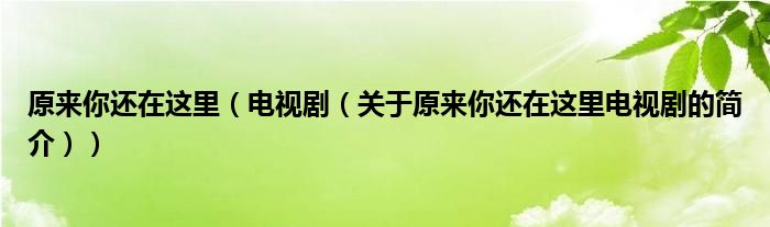 原來你還在這里（電視?。P(guān)于原來你還在這里電視劇的簡介））