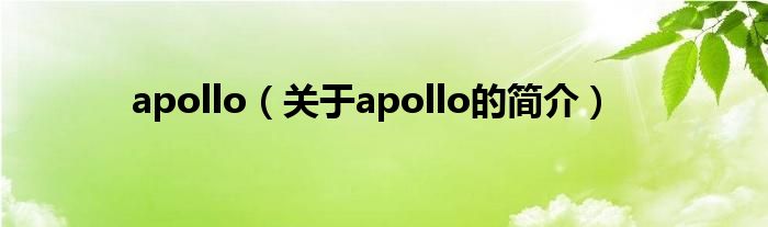 apollo（關于apollo的簡介）