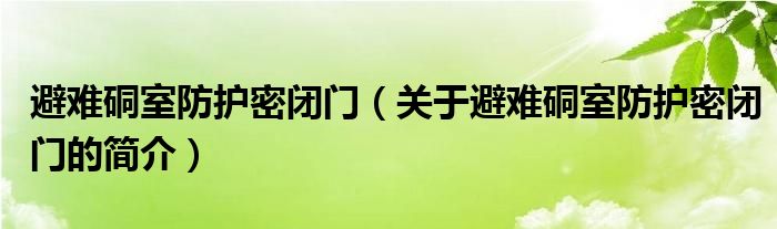 避難硐室防護密閉門（關于避難硐室防護密閉門的簡介）