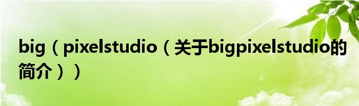 big（pixelstudio（關于bigpixelstudio的簡介））