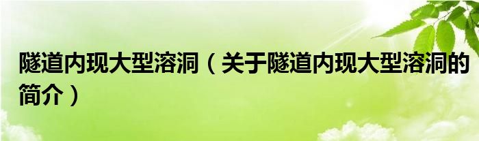 隧道內(nèi)現(xiàn)大型溶洞（關(guān)于隧道內(nèi)現(xiàn)大型溶洞的簡介）