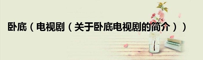 臥底（電視?。P(guān)于臥底電視劇的簡(jiǎn)介））