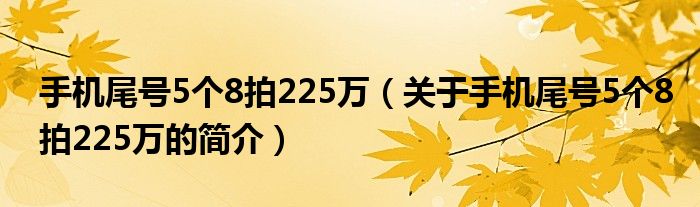 手機尾號5個8拍225萬（關(guān)于手機尾號5個8拍225萬的簡介）