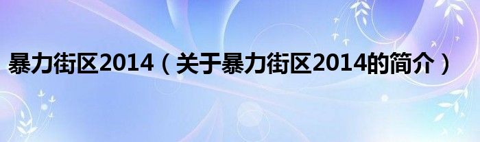 暴力街區(qū)2014（關(guān)于暴力街區(qū)2014的簡(jiǎn)介）