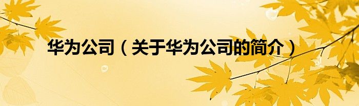 華為公司（關(guān)于華為公司的簡介）