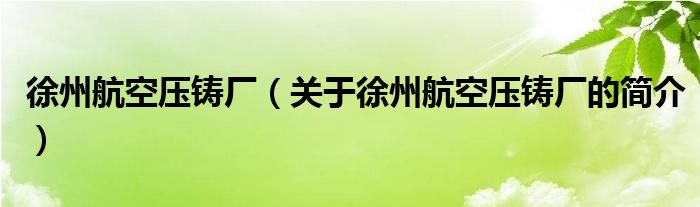 徐州航空壓鑄廠（關(guān)于徐州航空壓鑄廠的簡介）