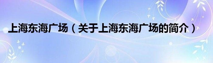 上海東海廣場（關于上海東海廣場的簡介）