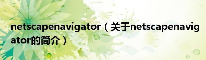 netscapenavigator（關(guān)于netscapenavigator的簡(jiǎn)介）