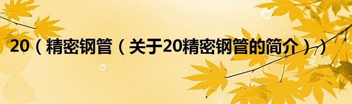 20（精密鋼管（關(guān)于20精密鋼管的簡介））