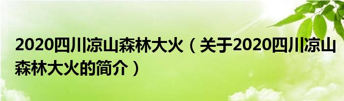 2020四川涼山森林大火（關(guān)于2020四川涼山森林大火的簡(jiǎn)介）