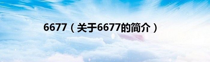 6677（關(guān)于6677的簡介）