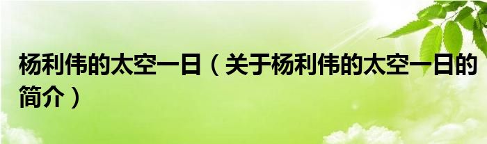 楊利偉的太空一日（關(guān)于楊利偉的太空一日的簡(jiǎn)介）