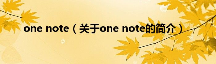 one note（關于one note的簡介）