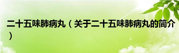 二十五味肺病丸（關(guān)于二十五味肺病丸的簡(jiǎn)介）