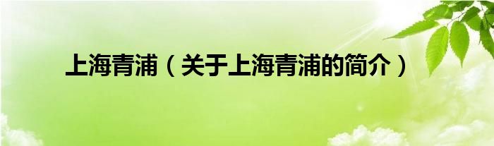 上海青浦（關(guān)于上海青浦的簡(jiǎn)介）