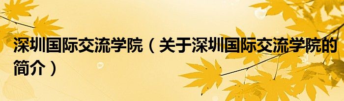 深圳國際交流學院（關(guān)于深圳國際交流學院的簡介）