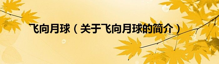 飛向月球（關(guān)于飛向月球的簡(jiǎn)介）