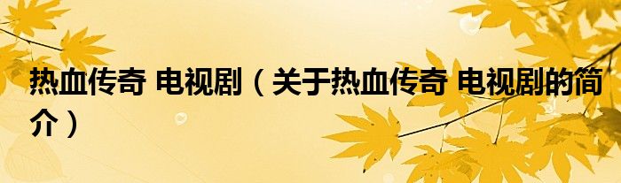 熱血傳奇 電視?。P(guān)于熱血傳奇 電視劇的簡介）