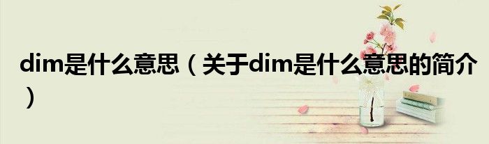 dim是什么意思（關(guān)于dim是什么意思的簡介）