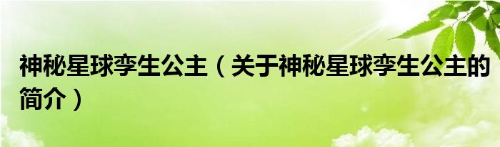 神秘星球孿生公主（關于神秘星球孿生公主的簡介）