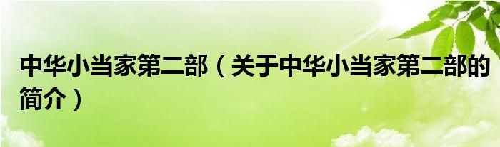 中華小當(dāng)家第二部（關(guān)于中華小當(dāng)家第二部的簡介）