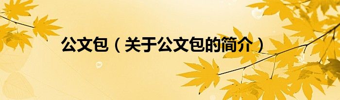 公文包（關(guān)于公文包的簡介）