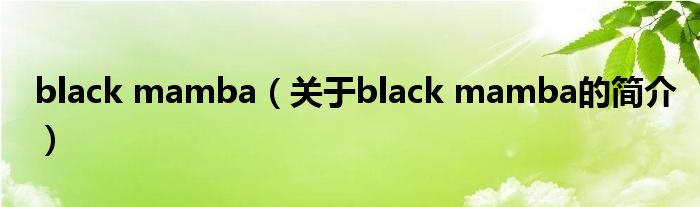 black mamba（關(guān)于black mamba的簡介）