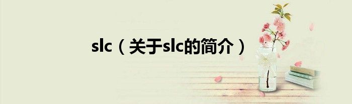 slc（關(guān)于slc的簡介）