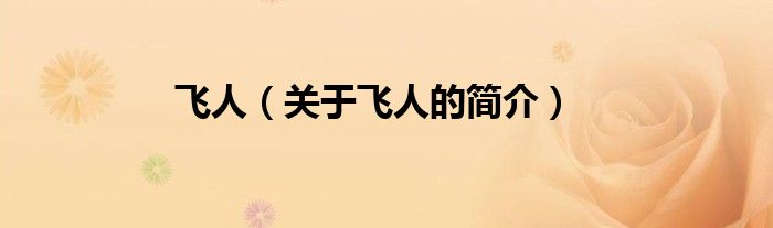 飛人（關(guān)于飛人的簡(jiǎn)介）