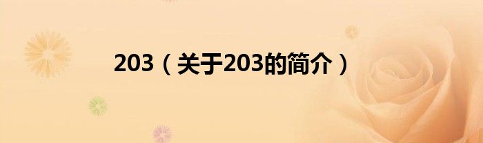 203（關(guān)于203的簡(jiǎn)介）