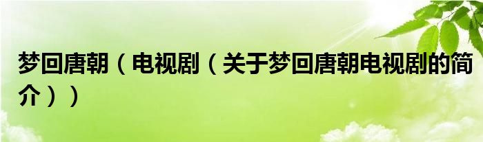 夢回唐朝（電視劇（關(guān)于夢回唐朝電視劇的簡介））