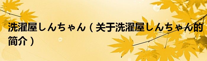 洗濯屋しんちゃん（關于洗濯屋しんちゃん的簡介）