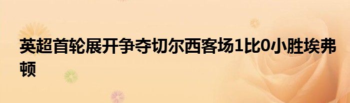 英超首輪展開爭奪切爾西客場1比0小勝埃弗頓