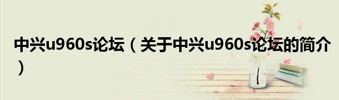 中興u960s論壇（關(guān)于中興u960s論壇的簡(jiǎn)介）