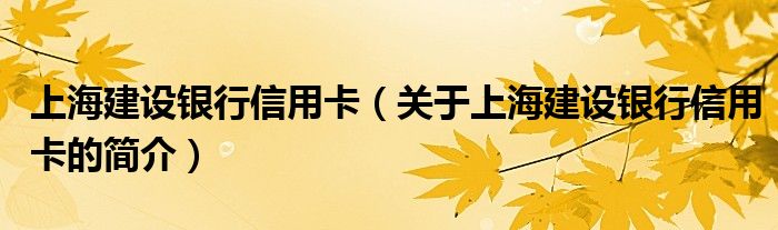 上海建設(shè)銀行信用卡（關(guān)于上海建設(shè)銀行信用卡的簡(jiǎn)介）