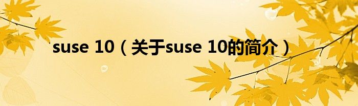 suse 10（關(guān)于suse 10的簡介）