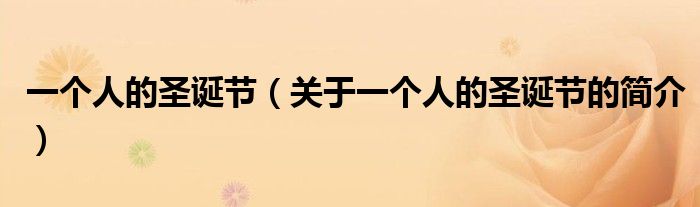 一個人的圣誕節(jié)（關于一個人的圣誕節(jié)的簡介）