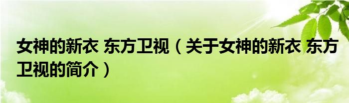 女神的新衣 東方衛(wèi)視（關(guān)于女神的新衣 東方衛(wèi)視的簡介）