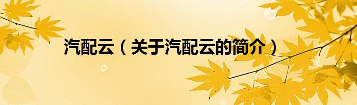 汽配云（關(guān)于汽配云的簡(jiǎn)介）