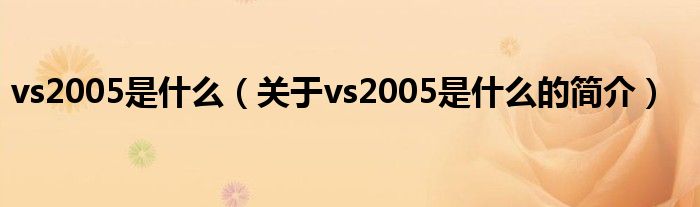 vs2005是什么（關(guān)于vs2005是什么的簡介）