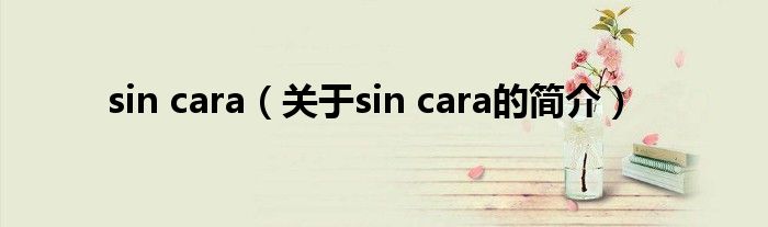 sin cara（關(guān)于sin cara的簡介）