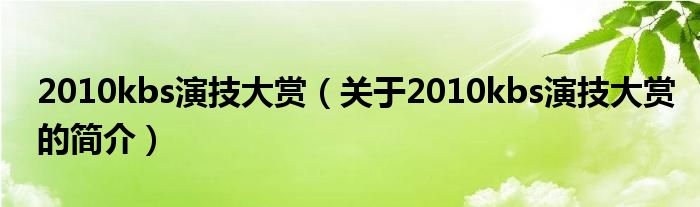 2010kbs演技大賞（關于2010kbs演技大賞的簡介）