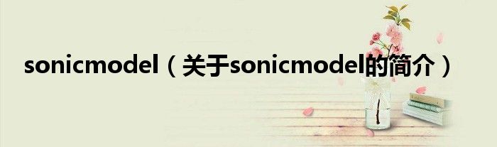 sonicmodel（關(guān)于sonicmodel的簡介）