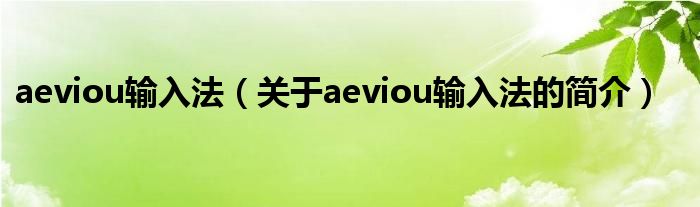 aeviou輸入法（關(guān)于aeviou輸入法的簡介）