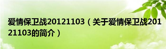 愛情保衛(wèi)戰(zhàn)20121103（關(guān)于愛情保衛(wèi)戰(zhàn)20121103的簡(jiǎn)介）