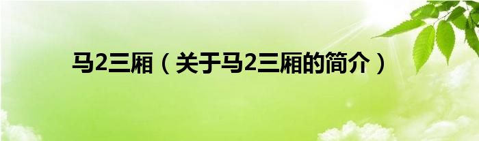 馬2三廂（關(guān)于馬2三廂的簡(jiǎn)介）