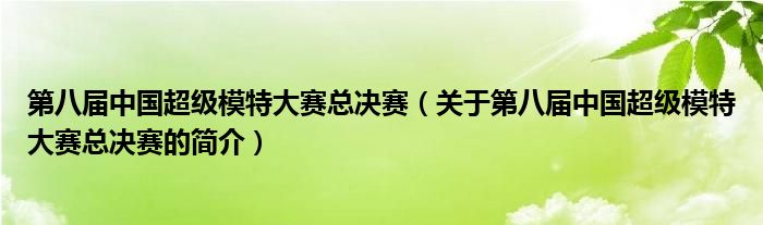 第八屆中國超級模特大賽總決賽（關于第八屆中國超級模特大賽總決賽的簡介）